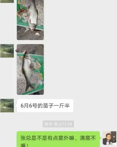 鱼长得太快，养殖户都不能信是真的