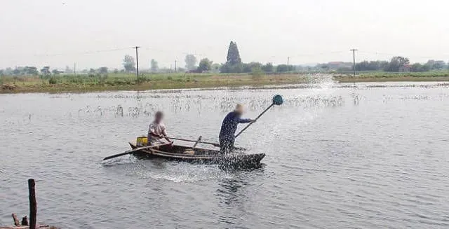 浅谈水产养殖过程中常见的几种用药给药方法