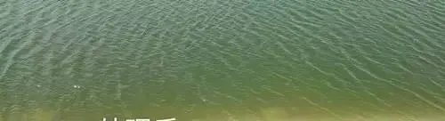 海参池塘白浊水质的调节
