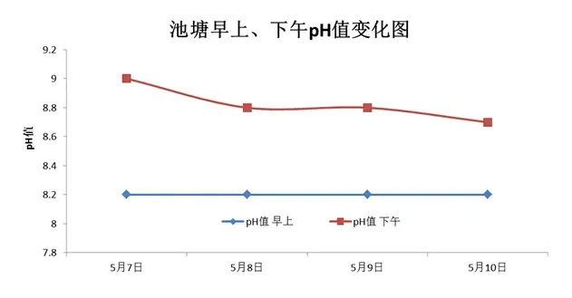 南美白对虾养殖户如何轻松搞定虾塘浓绿水