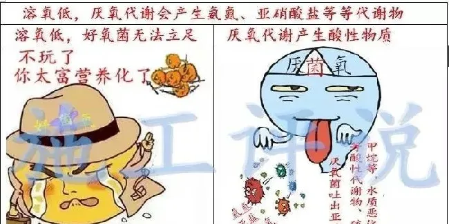 品种没变，环境已大变样！旧的养殖习惯，是否需要与时俱进？