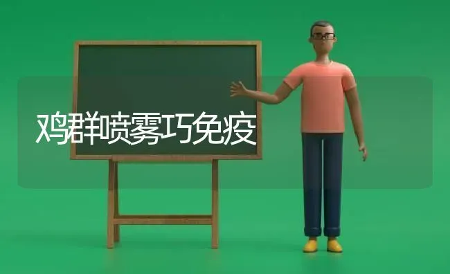 鸡群喷雾巧免疫 | 家禽养殖