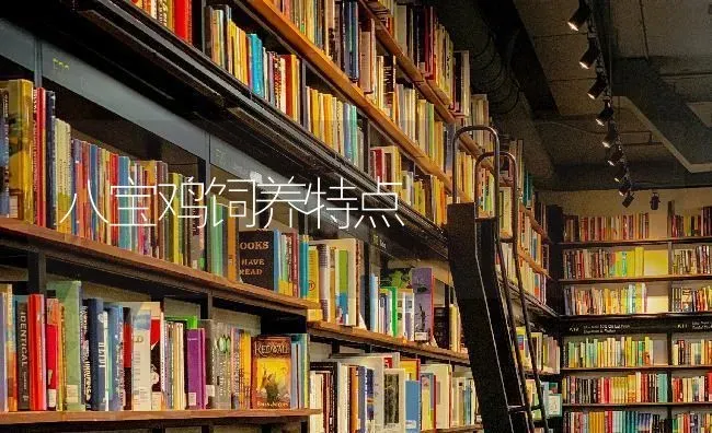 八宝鸡饲养特点 | 家禽养殖