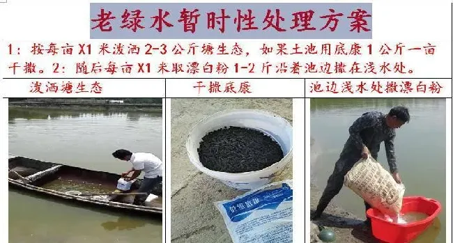 品种没变，环境已大变样！旧的养殖习惯，是否需要与时俱进？