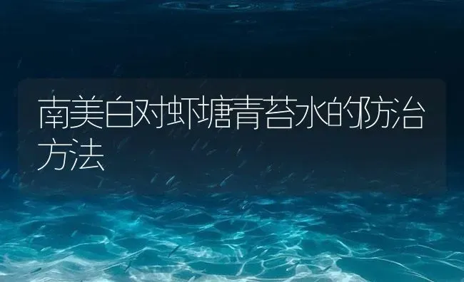 南美白对虾塘青苔水的防治方法 | 海水养殖