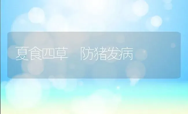 夏食四草 防猪发病 | 家畜养殖