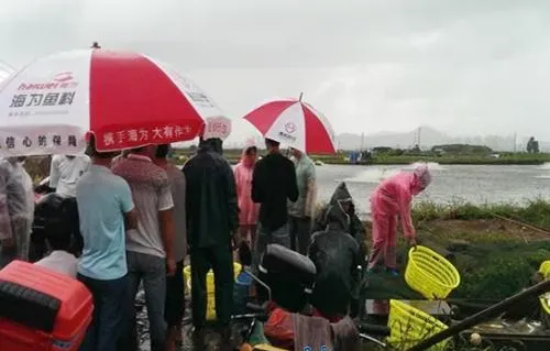 海鲈鱼养殖攻略在手：选苗到投料变得很简单