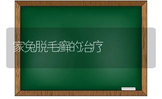 家兔脱毛癣的治疗 | 家畜养殖