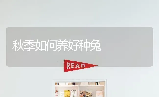 秋季如何养好种兔 | 家畜养殖
