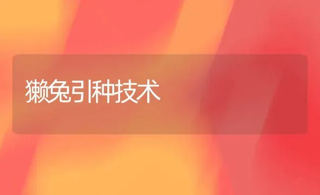 獭兔引种技术 | 家畜养殖