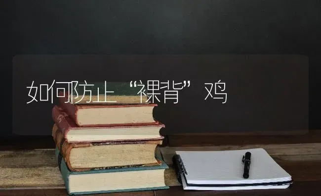 如何防止“裸背”鸡 | 家禽养殖