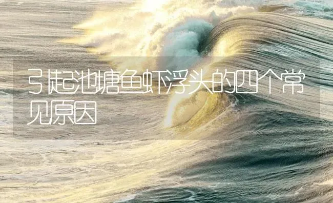 引起池塘鱼虾浮头的四个常见原因 | 养殖病虫害防治