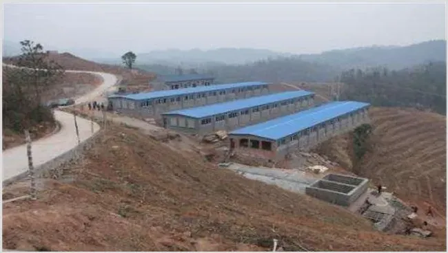 养鸡场的建设要求 | 动物养殖资料