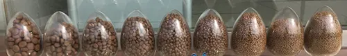 海鲈鱼养殖攻略在手：选苗到投料变得很简单