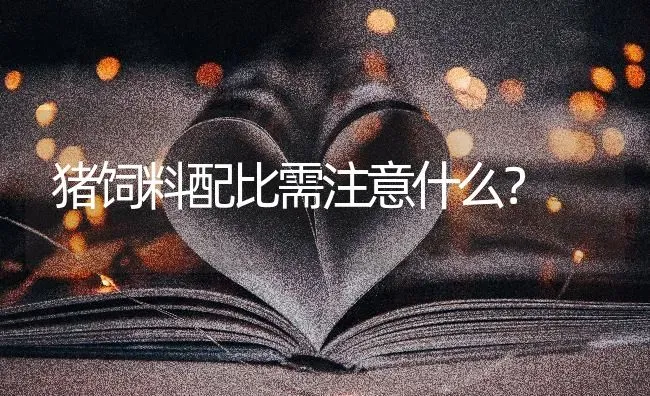 猪饲料配比需注意什么？ | 家畜养殖
