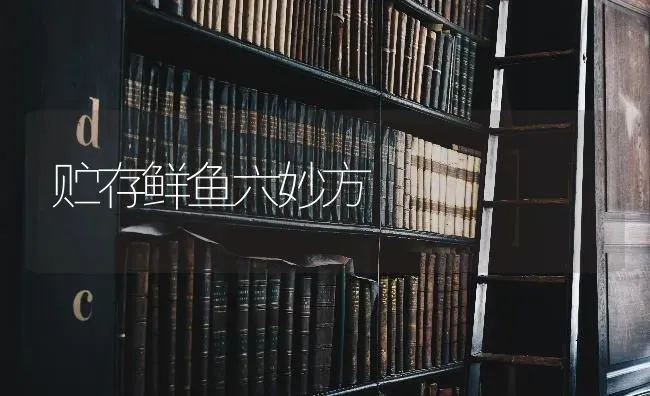 贮存鲜鱼六妙方 | 淡水养殖