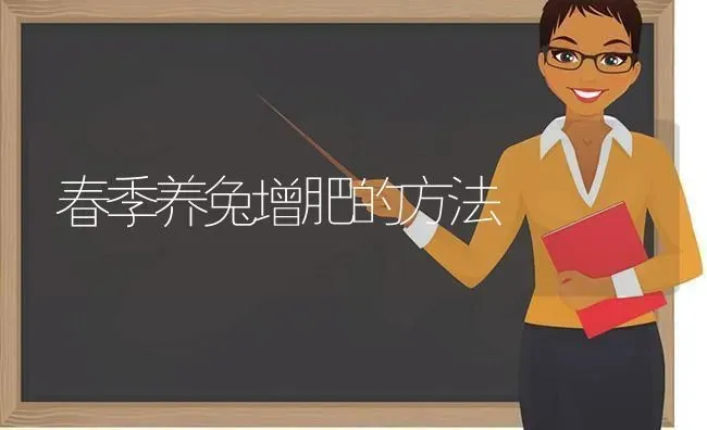 春季养兔增肥的方法 | 家畜养殖