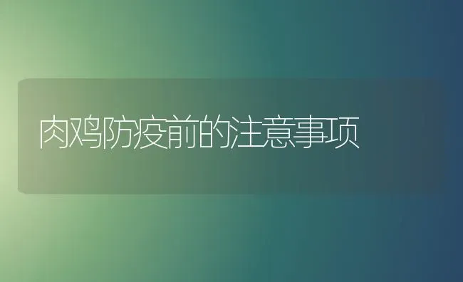 肉鸡防疫前的注意事项 | 家禽养殖