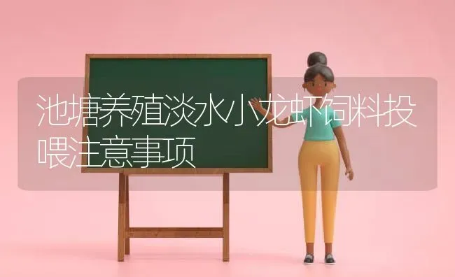 池塘养殖淡水小龙虾饲料投喂注意事项 | 动物养殖百科