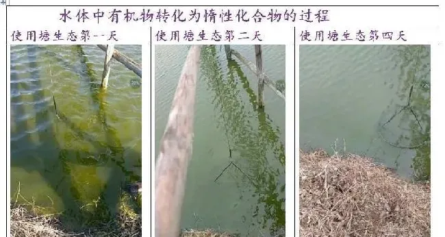 品种没变，环境已大变样！旧的养殖习惯，是否需要与时俱进？