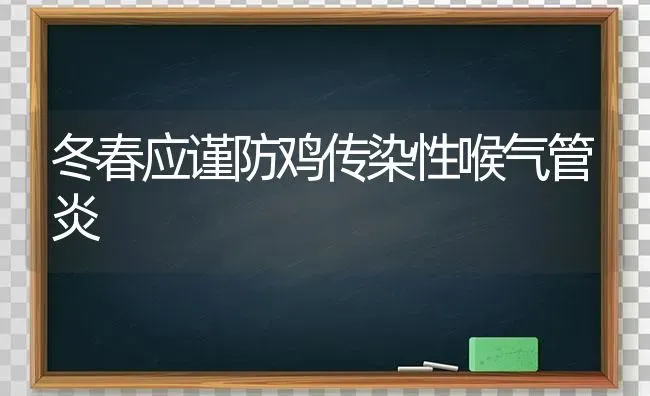 冬春应谨防鸡传染性喉气管炎 | 家禽养殖