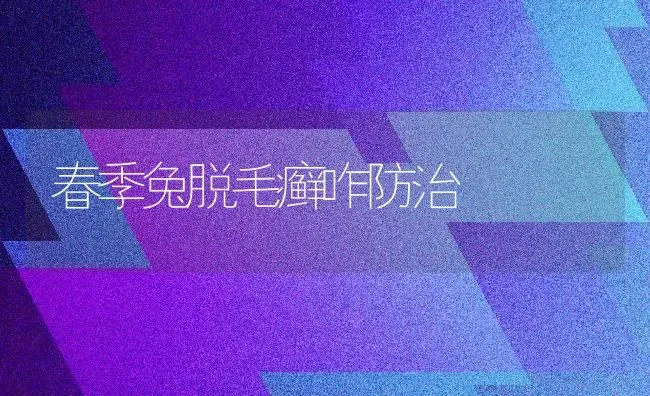 春季兔脱毛癣咋防治 | 家畜养殖