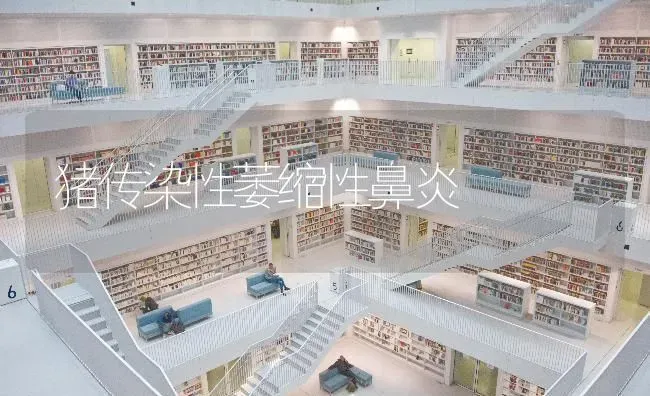 猪传染性萎缩性鼻炎 | 家畜养殖