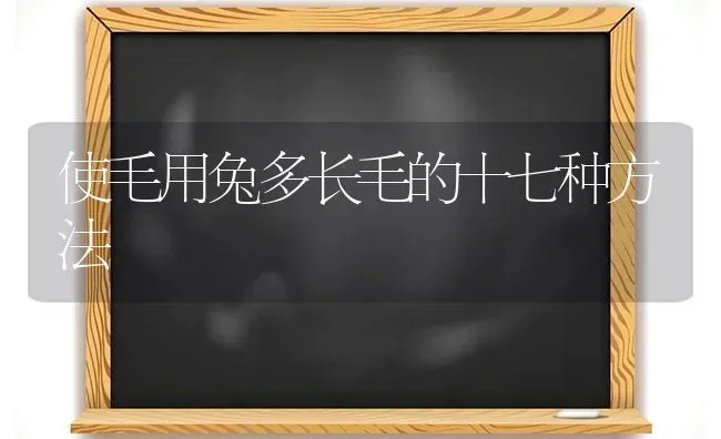 使毛用兔多长毛的十七种方法 | 家畜养殖