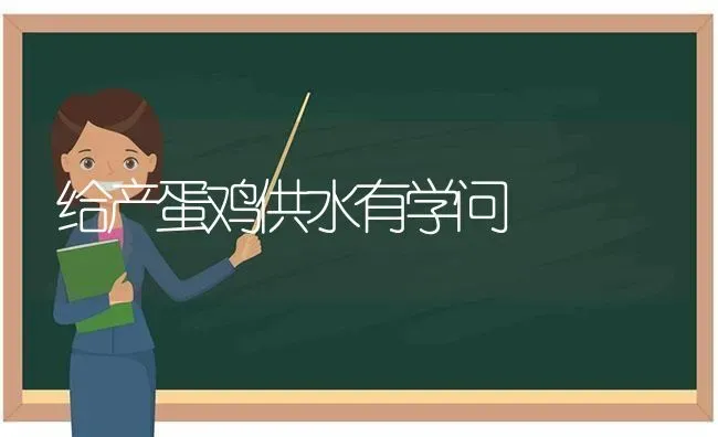 给产蛋鸡供水有学问 | 家禽养殖