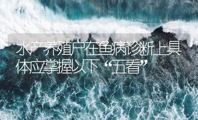 水产养殖户在鱼病诊断上具体应掌握以下“五看” | 养殖病虫害防治
