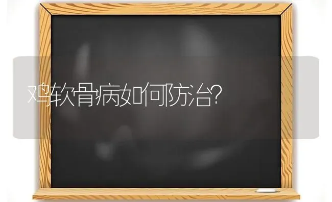 鸡软骨病如何防治？ | 家禽养殖