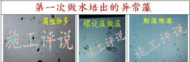 品种没变，环境已大变样！旧的养殖习惯，是否需要与时俱进？