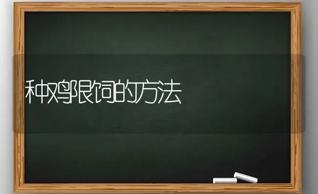 种鸡限饲的方法 | 家禽养殖