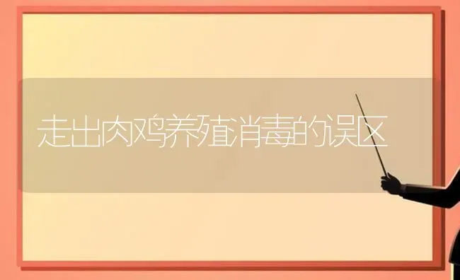 走出肉鸡养殖消毒的误区 | 家禽养殖
