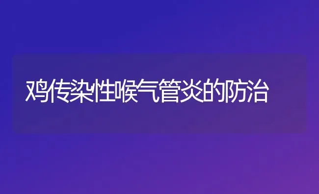 鸡传染性喉气管炎的防治 | 家禽养殖