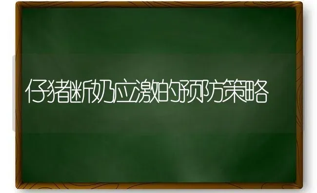 仔猪断奶应激的预防策略 | 家畜养殖