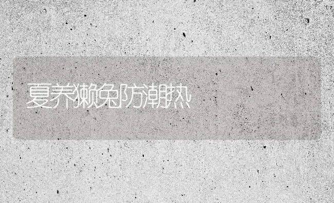夏养獭兔防潮热 | 家畜养殖