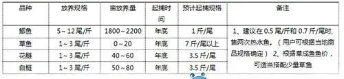 鲫鱼饲料选择及投喂管理技巧