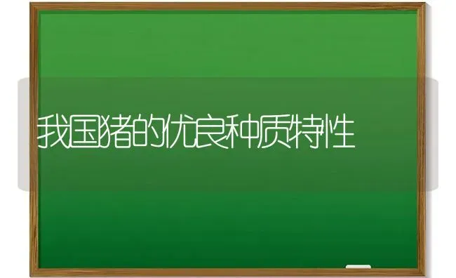 我国猪的优良种质特性 | 家畜养殖