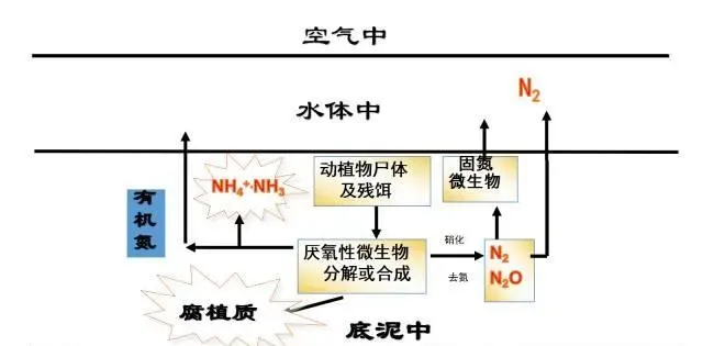 池塘底质如何物质循环，提倡科学改底？