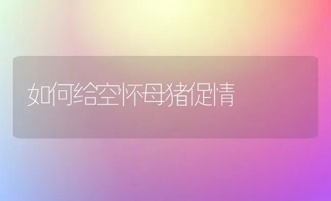 如何给空怀母猪促情 | 家畜养殖