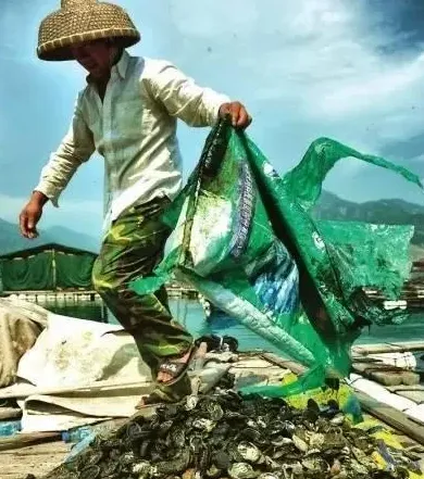 鲍鱼溶氧那些事：又到夏季缺氧高发期