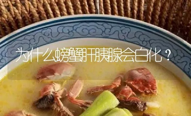 为什么螃蟹肝胰腺会白化？ | 淡水养殖