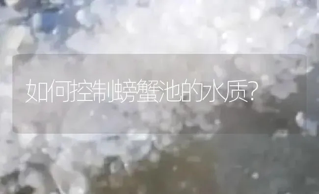 如何控制螃蟹池的水质？ | 淡水养殖