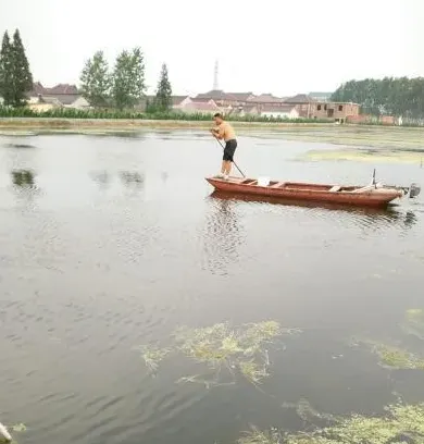 长期内服生命元促进河蟹摄食一例