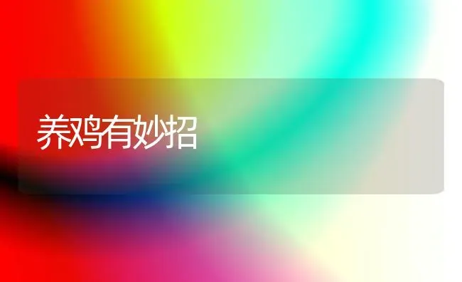 养鸡有妙招 | 家禽养殖