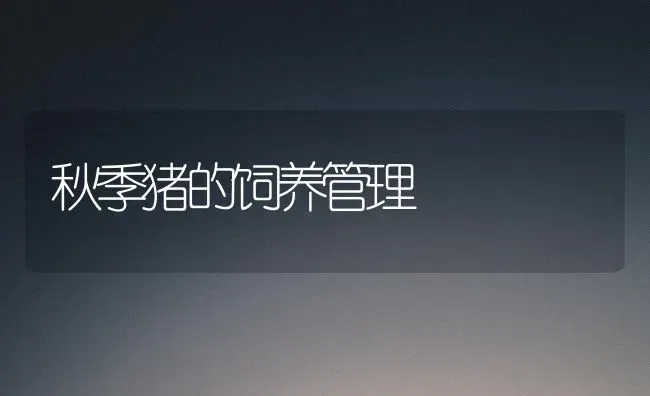 秋季猪的饲养管理 | 家畜养殖