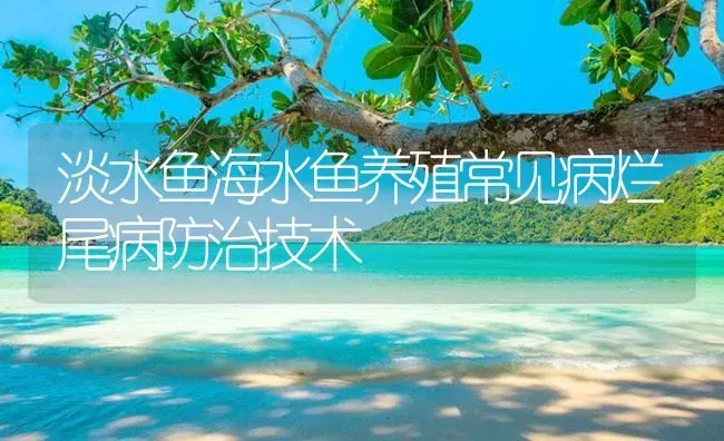 淡水鱼海水鱼养殖常见病烂尾病防治技术 | 养殖病虫害防治