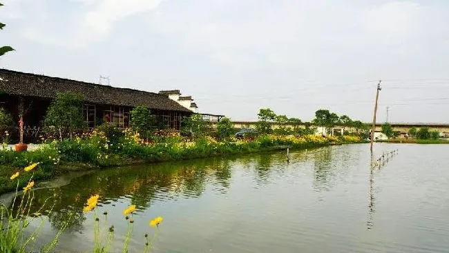 大宗淡水鱼春季养殖的几点技术建议