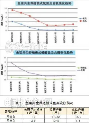 鱼菜共生养殖实用技术介绍